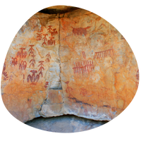 From the Chalcolithic to Historical periods Examining Evolution of Animal Management Across Cultural and Environmental Transitions