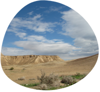 Pastoralists as large predator hunters: a case study from the Judean Desert