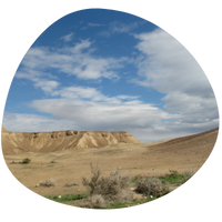 Pastoralists as large predator hunters: a case study from the Judean Desert