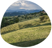 Traditional pastoral activities in the Romanian Carpathians – the main driver of an ancient cultural landscape with remarkable biodiversity