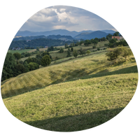 Traditional pastoral activities in the Romanian Carpathians – the main driver of an ancient cultural landscape with remarkable biodiversity