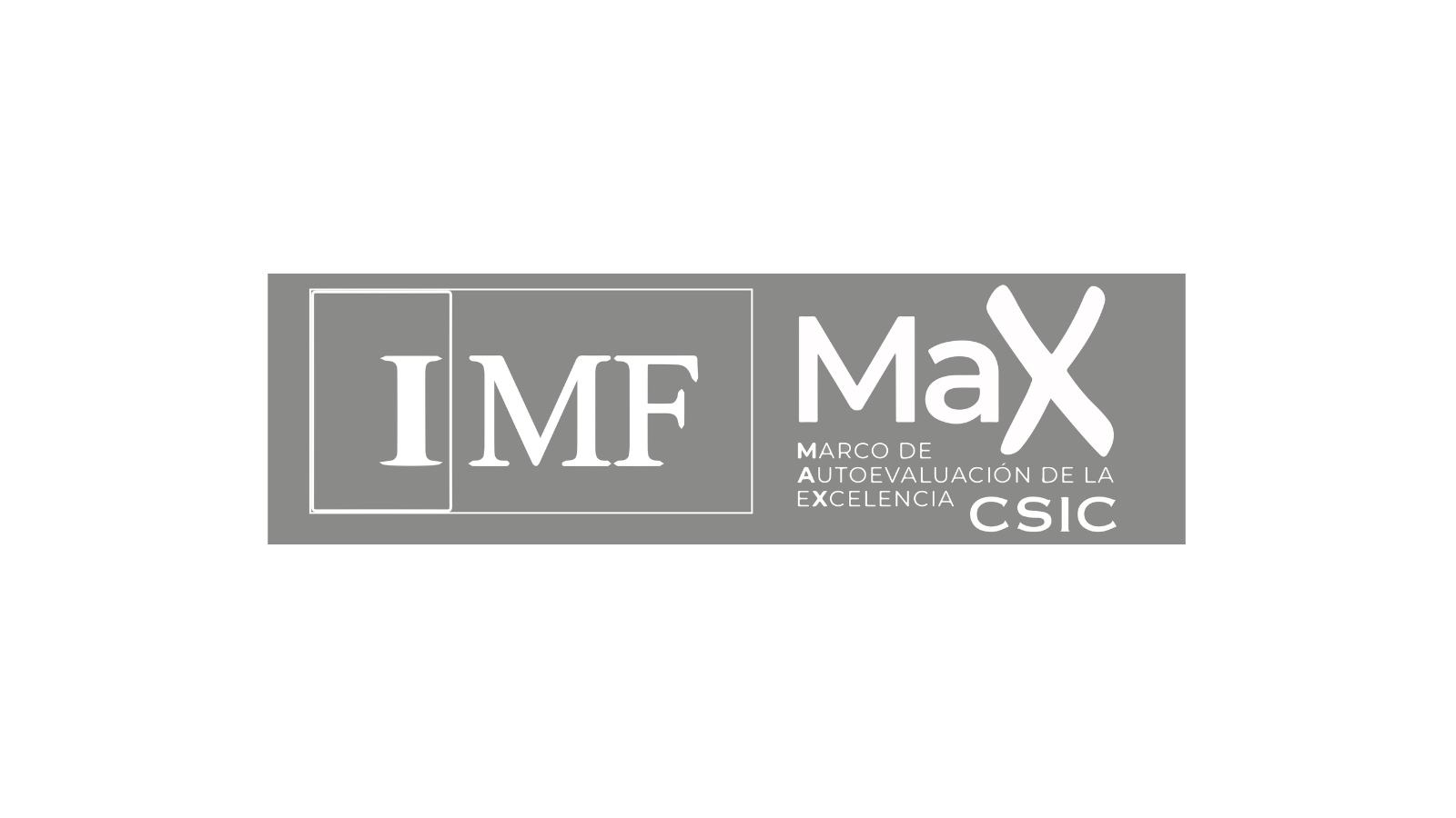 Logo IMF Plan MaX